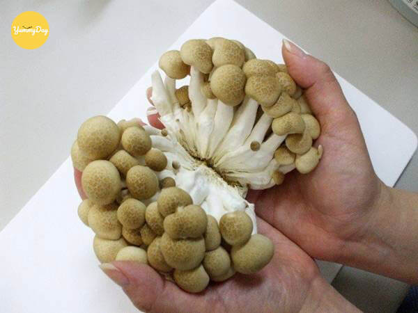 Sơ chế nấm Thuỷ Tiên