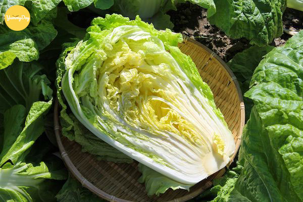 Cách lựa cải thảo