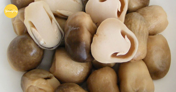 Tác dụng của nấm rơm