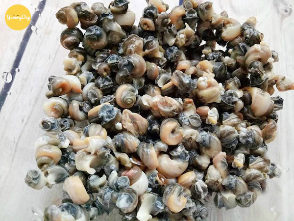 Sơ chế ốc rồi lấy tăm gỡ phần thịt ốc