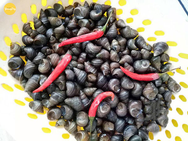 Sơ chế ốc