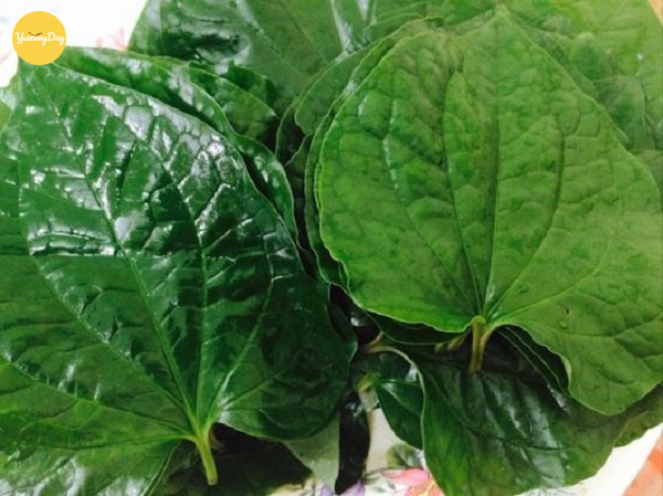 Lá lốt rửa sạch và để ráo