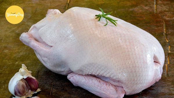 Mẹo chọn vịt chất lượng