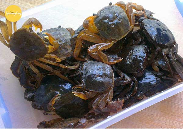 Cua đồng tươi béo