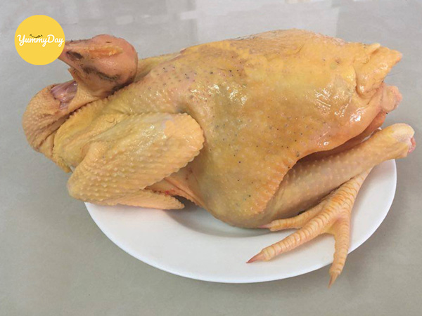 Rửa gà cho thật sạch