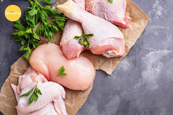 Con gà tươi ngon nguyên liệu chính của món ăn