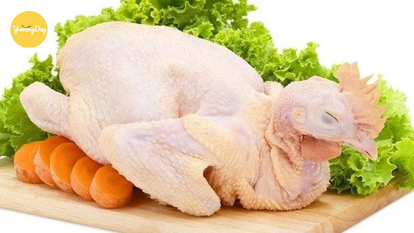 Quan sát gà thật kỹ để chọn được gà tươi ngon