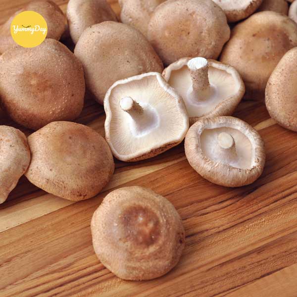 Giá trị dinh dưỡng của nấm đông cô