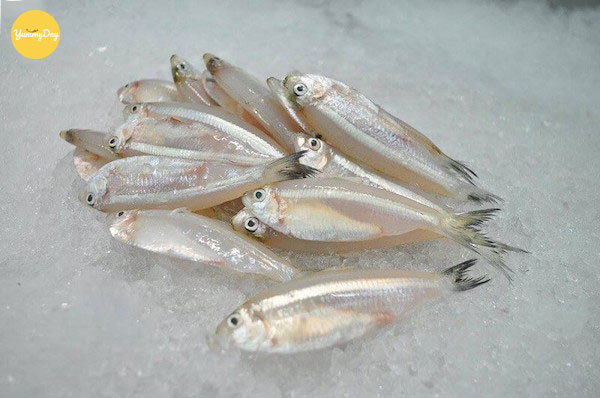 Chuẩn bị khoảng 200g cá mai
