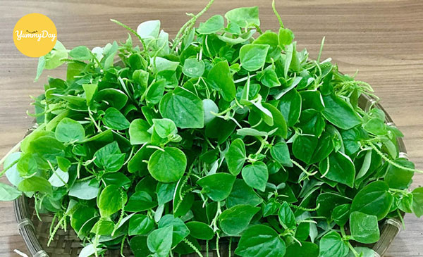 Dinh dưỡng của rau càng cua