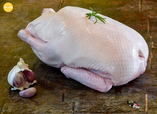 Lựa vịt thật tươi ngon