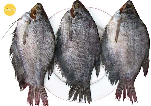 Thịt cá sặc ăn rất ngon