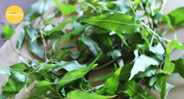 Rau răm bạn đem cắt nhỏ nhé