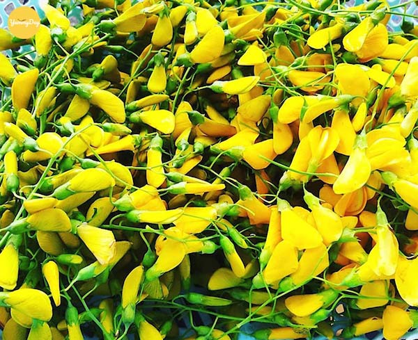 Chuẩn bị khoảng 300 gram bông điên điển
