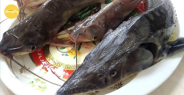 Tiến hành sơ chế cá tầm