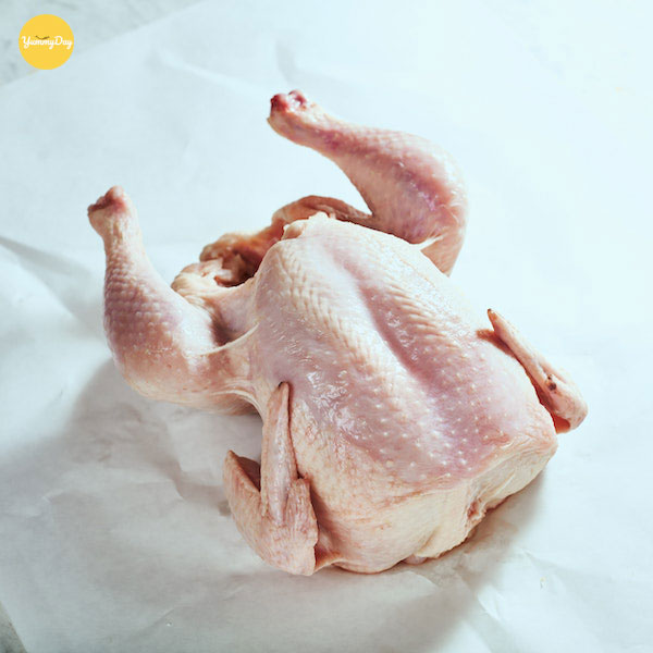 Lựa 1 con gà thật chắc thịt nào