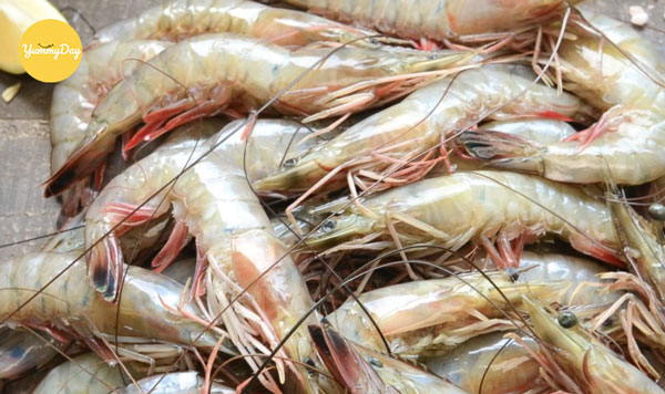 Chọn tôm tươi ngon chất lượng