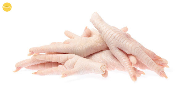 Mẹo chọn lựa chân agf chuẩn tươi ngon
