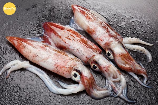 Lựa chọn những con mực thật tươi
