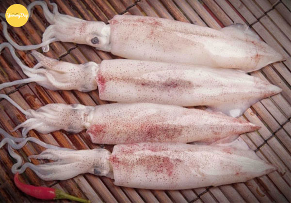 Chọn mực ống tươi loại nhỏ