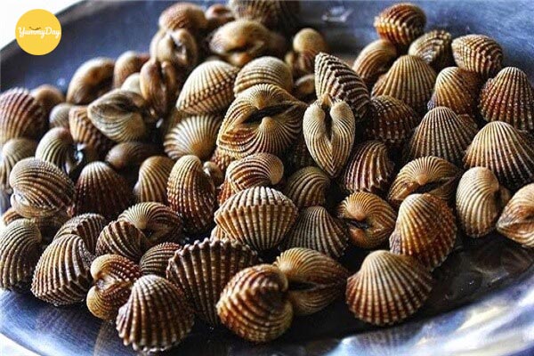 Nguyên liệu chính cho món cháo sò huyết 