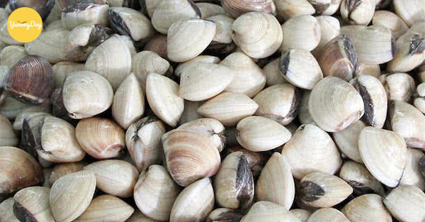 Khâu lựa chọn nghêu phải thật kỹ càng