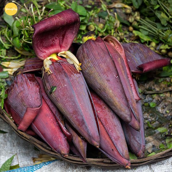 Lựa 1 hoa chuối thật tươi ngon