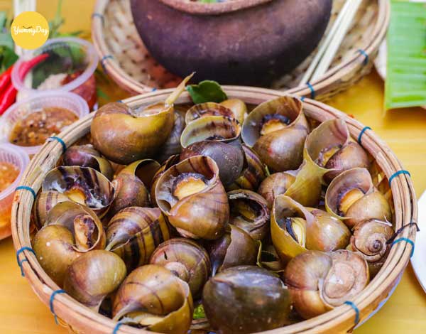 Cách làm Ốc bươu hấp sả