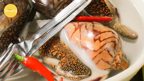 Ngâm ốc giác sạch sẽ