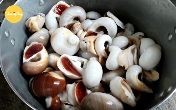 Chọn những con ốc có mày nằm sát với vỏ ốc bên ngoài