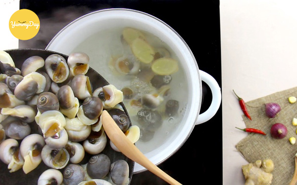 Luộc ốc mỡ với gừng