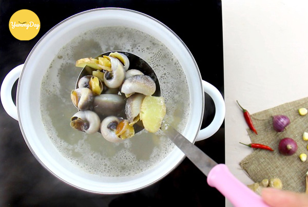 Vớt ốc ra và để ráo