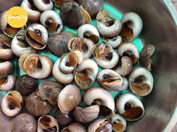 Dinh dưỡng có trong ốc mỡ