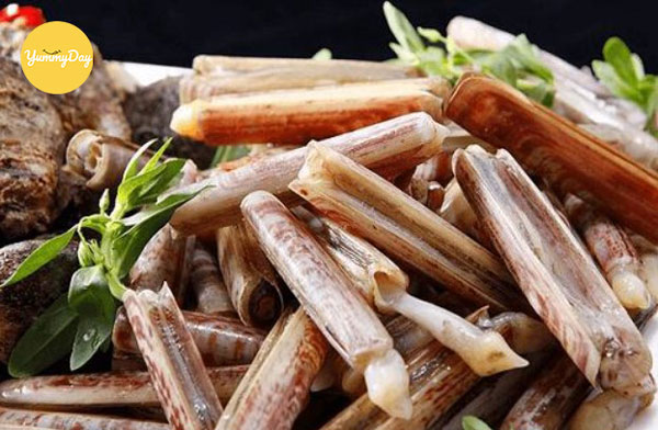 Ốc móng tay có hàm lượng chất dinh dưỡng rất cao