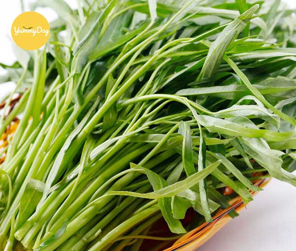 Giá trị dinh dưỡng của rau muống