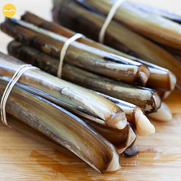 Một số thông tin về ốc móng tay