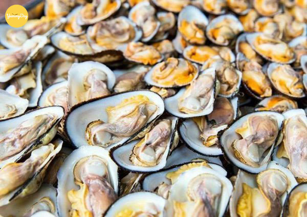 Lựa chọn những con sò dẹo thật ngon bạn nhé