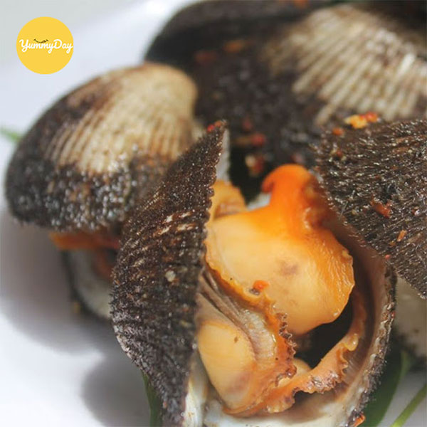 Sò lông còn thè lưỡi, chắc tay và không có mùi hôi