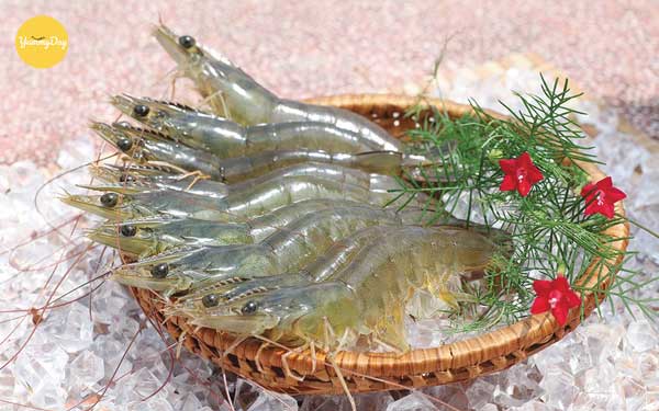 Bạn nên chọn mua tôm tươi, nếu tôm vẫn còn sống thì càng tốt