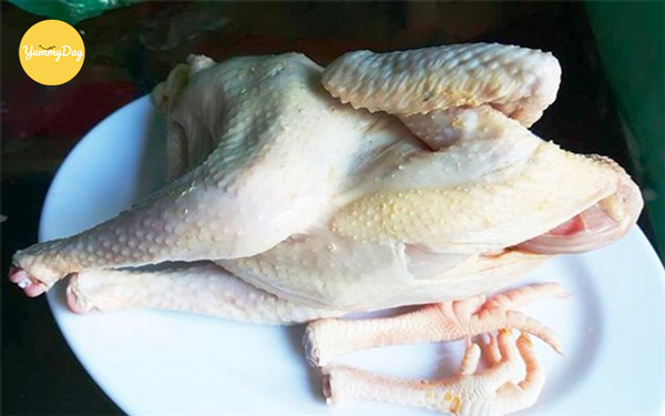 Chuẩn bị thịt gà chất lượng