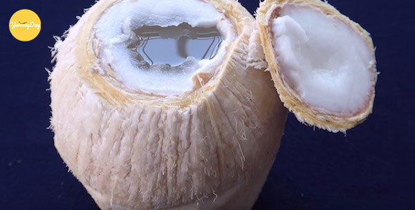 Chọn trái dừa ngọt nước
