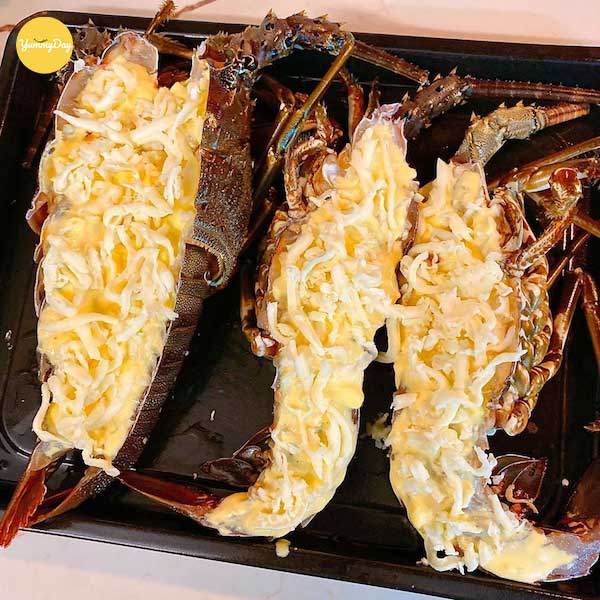 Rắc phô mai sợi lên phần thịt tôm hùm đã được ướp gia vị