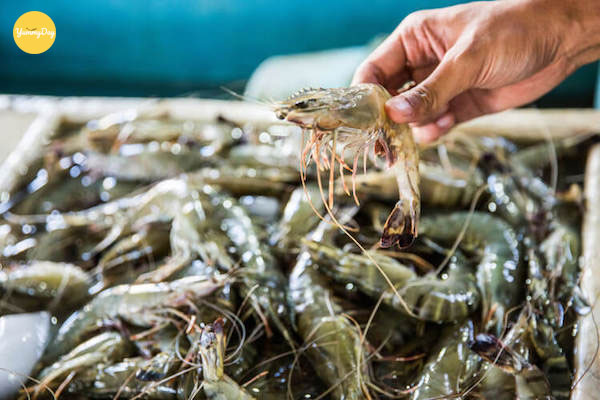 Chuẩn bị tôm thật tươi để món nướng thật ngon nhé!