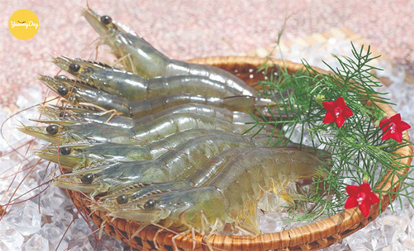 Những con tôm tươi ngon
