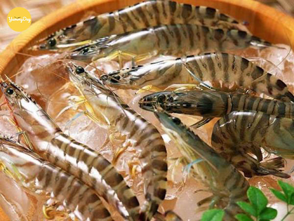 Cách chọn tôm sú ngon làm chua ngọt