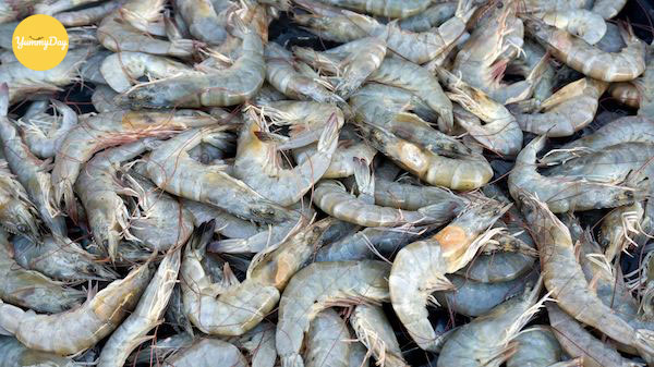 Lựa những con tôm thật tươi bạn nhé!